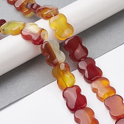 Red Agate Natural Red Agate Beads Strands, Bowknot, 16~16.5x12.5~13x5~5.5mm, Hole: 1.4mm, about 13pcs/strand, 8.46''(21.5cm)