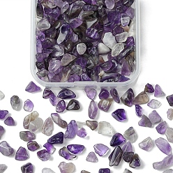 Аметист 50g бусины из натурального аметиста, нет отверстий / незавершенного, 3~9x1~4 мм