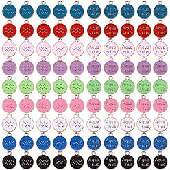 Verseau 90 pcs 9 couleurs pendentifs en alliage d'émail, sans cadmium et sans plomb, plat rond avec constellation, or et de lumière, Verseau, 15x12x2mm, Trou: 1.5mm, 10 pcs / couleur