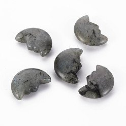 Labradorite Perles naturelles de labradorite, pas de trous / non percés, lune, 29.5~30.5x21x9.5mm