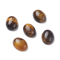 Тигровый глаз Природных тигровый глаз кабошонов, овальные, 8x6x3 мм