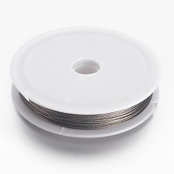 Raw Tiger Tail Wire, Nylon-coated Stainless Steel, Original Color(Raw) Wire, Raw, 0.45mm, about 164.04 Feet(50m)/roll