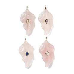 Розовый Кварц Резные подвески из натурального розового кварца, Подвески в виде листьев с фурнитурой из микропаве из латуни золотистого оттенка и кубическими циркониями случайного цвета., 49x24~24.5x6~8.5 мм, отверстие : 4x2.5 мм