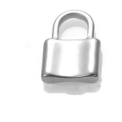 Нержавеющая Сталь Цвет Шкентели нержавеющей стали, подвесной замок, цвет нержавеющей стали, 22x15 мм
