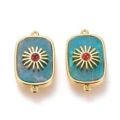 Апатит Соединители звеньев натурального апатита и сердолика, с долговечной позолоченной латунной фурнитурой из настоящего 18 k золота, прямоугольные, 28x16x6.2 мм, отверстие : 1.2 мм