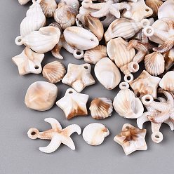 Chocolate Two Tone Ocean Series Opaque Plastic Imitation Gemstone Pendants, Mixed Shapes Charms, Chocolate, 11~26x11~18x4~12mm, Hole: 1.5~2mm, about 709pcs/500g