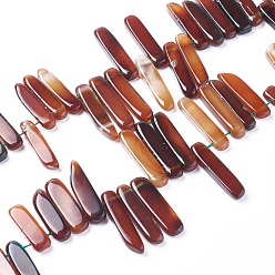 Chocolate Dyed Natural Agate Beads Strands, Tusk Shape, Chocolate, 16.5~39x7.5~9.5x5.5~6.5mm, Hole: 1.5mm, about 38~40pcs/strand, 14.8~15.3 inch(37.5~39cm)