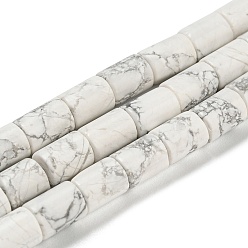 Говлит Природные Говлит бисер нитей, колонка, 7.5~8x6 мм, отверстие : 1.2 мм, около 48~50 шт / нитка, 15.16''~15.31'' (38.5~38.9 см)