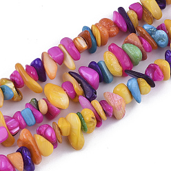 Mixed Color Freshwater Shell Beads Strands, Dyed, Chip, Mixed Color, 2~12x9~28x7~12mm, Hole: 1mm, about 90~95pcs/strand, 16.34 inch(41.5cm)