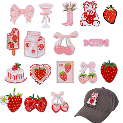 Mixed Shapes Ahademaker 17pc 17 стиль компьютерная вышивка полиэстер орнамент аксессуары, клубника, разнообразные, 21~68x31~66x1.5~2 мм