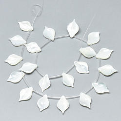 Creamy White Natural White Shell Mother of Pearl Shell Pendants, Leaf, Creamy White, 16x10x3mm, Hole: 0.7mm