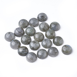 Labradorite Natural Labradorite Cabochons, Half Round, 12x5mm