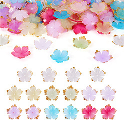 Mixed Color 120Pcs 8 Colors Acrylic Bead Caps, 5-Petal Flower, Golden Metal Enlaced, Mixed Color, 27x28x5.5mm, Hole: 1.8mm, 15pcs/color