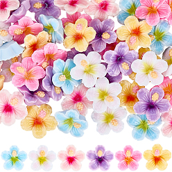 (52) Непрозрачная лаванда 60 шт 6 цвета пластиковых кабошонов, цветок, разноцветные, 19.5x21x8 мм, 10 шт / цвет