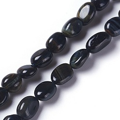 Œil De Tigre Naturelles oeil de tigre bleu brins de perles, pierre tombée, nuggets, 8~11x6~7mm, Trou: 1mm, Environ 48 pcs/chapelet, 15.7 pouce (40 cm)