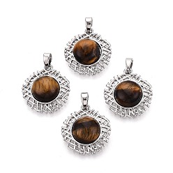 Платина Природных тигровый глаз подвески, плоские круглые подвески с латунными оправами, платина, 20x18x6~6.5 мм, отверстие : 4.5x2.5 мм