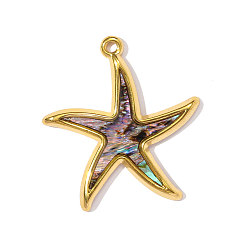 Настоящее золото 18K 304 подвески из ракушек пауа из нержавеющей стали, прелести морская звезда, ионное покрытие (ip), реальный 18 k позолоченный, 33x30 мм