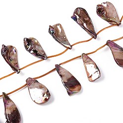 Верблюжий Нити бусин из натуральных пресноводных ракушек, окрашенных в цвет AB, слеза, Топ пробуренной, верблюжие, 33~49x14~23x5~11 мм, отверстие : 0.5 мм, около 13 шт / нитка, 11.69~12.20'' (29.7~31 см)