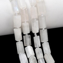 Rainbow Moonstone Бусины из натурального радужного лунного камня, колонка, граненые, с бисером, 11~14x7~8x7~8 мм, отверстие : 1 мм, около 26~28 шт / нитка, 15.55''~15.75'' (39.5~40 см)