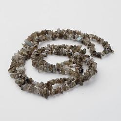 Labradorite Natural Labradorite Chips Beads Strands, 5~8mm, Hole: 0.3mm, about 32~32.5 inch