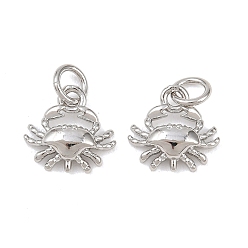 Краб Латунь прелести, с целью перехода в кольце, морская тема, платина, краб, 10.5x11x3 мм, отверстие : 3.5 мм