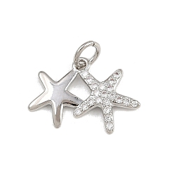 Морская звезда Латунные микро проложить кубического циркония подвески, с целью перехода в кольце, стойки покрытие, долговечный, без свинца и без кадмия, платина, морская звезда, 12x17.5x2 мм, отверстие : 3 мм