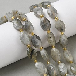 Лабрадорита Природные лабрадорита бисер нитей, граненые, лошадь форма глаз, с бисером, 14x9x6 мм, отверстие : 1.6 мм, около 23 шт / нитка, 15.16'' (38.5 см)