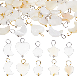 Платиновый & Золотой 60 шт 10 стили натуральные пресноводные подвески из ракушек, с медными петлями, подвески в виде звезд и луны, разнообразные, цвет морской раковины, платиной и золотом, 13~16.5x8~12.5x2.5~3 мм, отверстие : 1.6~2.5 мм, 6 шт / стиль