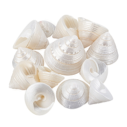 Shell Shape 100g натуральные украшения из ракушек, для украшения аквариума с рыбками, формы раковины, 21~42x27~34 мм