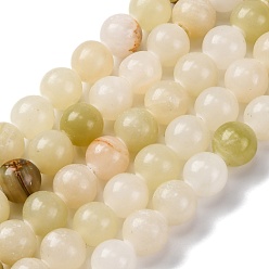 Другие Нефриты Природные Афганские нефритовые бусы пряди, круглые, 8 мм, отверстие : 1.2 мм, около 49 шт / нитка, 14.84'' (37.7 см)