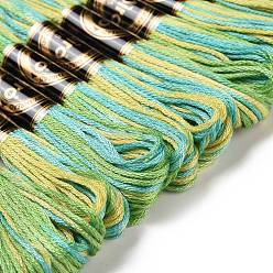 Lime Green 10 Skeins 6-Ply Polyester Embroidery Floss, Cross Stitch Threads, Segment Dyed, Lime Green, 0.5mm, about 8.75 Yards(8m)/skein