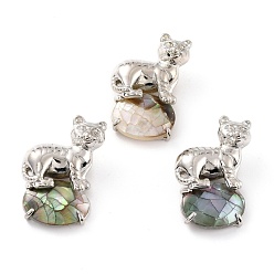 Седло Коричневый Подвески из раковины, с платиновой и латунной фурнитурой, тигр с овалом, седло коричневый, 32x20.5x8.5 мм, отверстие : 6x7 мм