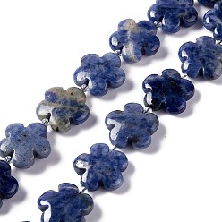 Sodalite Natural Sodalite Beads Strands, 5-Petal Flower, 20x6.5mm, Hole: 1.2mm, about 20pcs/strand, 16.34''(41.5cm)