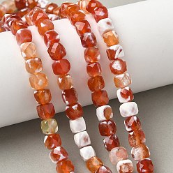 Помидор Природные пожары треск агат бисер нитей, граненые, кубические, окрашенная и подогревом, помидор, 6~7x6~7x6~7 мм, отверстие : 1 мм, около 56 шт / нитка, 15.55'' (39.5 см)