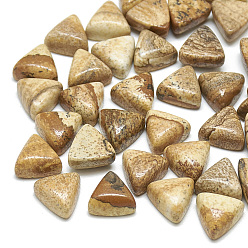 Пейзажный Джаспер Естественная картина яшма кабошоны, треугольные, 9.5~10x10x5.5 мм
