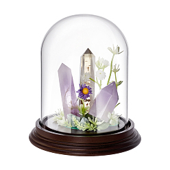 Прозрачный Стеклянный купол, декоративная витрина, террариум в форме колокола с основанием из сандалового дерева, прозрачные, 130x140 мм