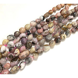 Pink Opal Natural Pink Opal Beads Strands, Tumbled Stone, Nuggets, 7~15x6~9mm, Hole: 1mm, about 40pcs/strand, 15.7 inch(40cm)