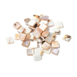 (52) Непрозрачная лаванда Кабошоны из натуральной белой и розовой ракушки, квадратный, разноцветные, 6~6.5x6.5x1.5~3.5 мм