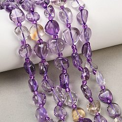 Amétrine Ametrine naturelles brins de perles, nuggets, AA grade, 8~15x7~11x3.5~7.5mm, Trou: 0.8mm, Environ 31~39 pcs/chapelet, 15.75'' (40 cm)
