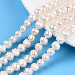 Seashell Color Natural Cultured Freshwater Pearl Beads Strands, Potato, Seashell Color, 6.5~9x6.5~7.5mm, Hole: 0.6mm, about 52~54pcs/strand, 13.58~13.98 inch(34.5~35.5cm)