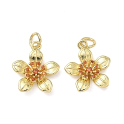 Настоящее золото 16K Латунные микро проложить кубического циркония подвески, , реальный 16 k позолоченный, 16x14x3.5 мм, Перейти кольцо: 5x1 мм, внутренний диаметр: 3.5 мм