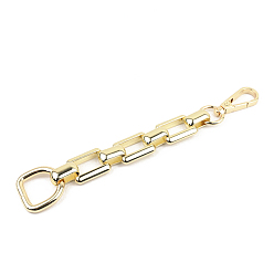 Light Gold Цепочки для кошельков из сплава с d-застежками, закрытие для кошелька сумочкой, золотой свет, 180x4.6 мм, внутренний диаметр: 9/20x20 мм, ссылка1: 8мм, ссылка2: 24x19мм