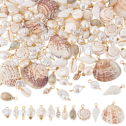 (52) Непрозрачная лаванда 120 шт. 12 стили подвески и соединители из ракушек и жемчуга, фурнитура для наборов, С выводами из меди и железа, разноцветные, 17.1~33.9 мм, отверстие : 1.6 мм, 10 шт / стиль