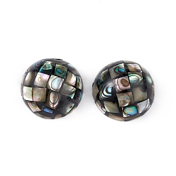 Разноцветный Бусины из синтетической раковины морского ушка / пауа, полукруглый, красочный, 20x10 мм