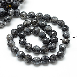 Larvikite Natural Larvikite Bead Strands, Faceted Round, 8mm, Hole: 1mm, about 45pcs/strand, 14.6 inch