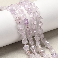 Аметист Природный аметист нитей бисера, звезда, 7.5x7.5x4.5 мм, отверстие : 0.7 мм, около 56 шт / нитка, 14.96 дюйм (38 см)