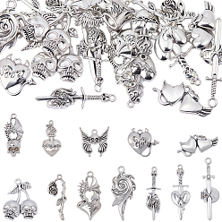 Mixed Shapes 24шт 12 подвески из сплава в готическом тибетском стиле, античное серебро, разнообразные, 18.5~55.5x14~38.5x4~7 мм, отверстие : 1.8~3.3 мм, 2 шт / стиль