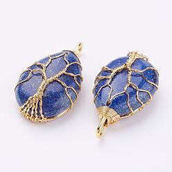 Ляпис-Лазурь Природный лазурит подвески, с латунной фурнитурой , слеза, золотые, 44~46x26x12~13 мм, отверстие : 4x7 мм