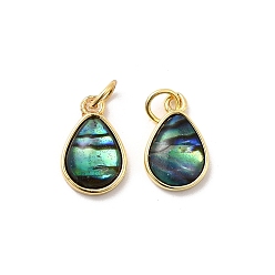 Настоящее золото 18K Подвески-слезинки из эпоксидной смолы и натуральной ракушки пауа, с латунными оправами и соединительными кольцами, стойки покрытие, долговечный, без свинца и без кадмия, реальный 18 k позолоченный, 13x8.5x3 мм, отверстие : 3 мм