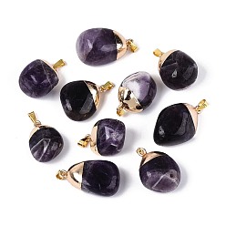 Аметист Подвески из натурального аметиста , самородки прелести, с 201 защелкивающимися дужками из нержавеющей стали и латунной фурнитурой., золотые, 23~37x12.5~25x8~21.5 мм, отверстие : 5.5~7.5x2.5~4 мм